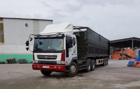 Mui lướt gió